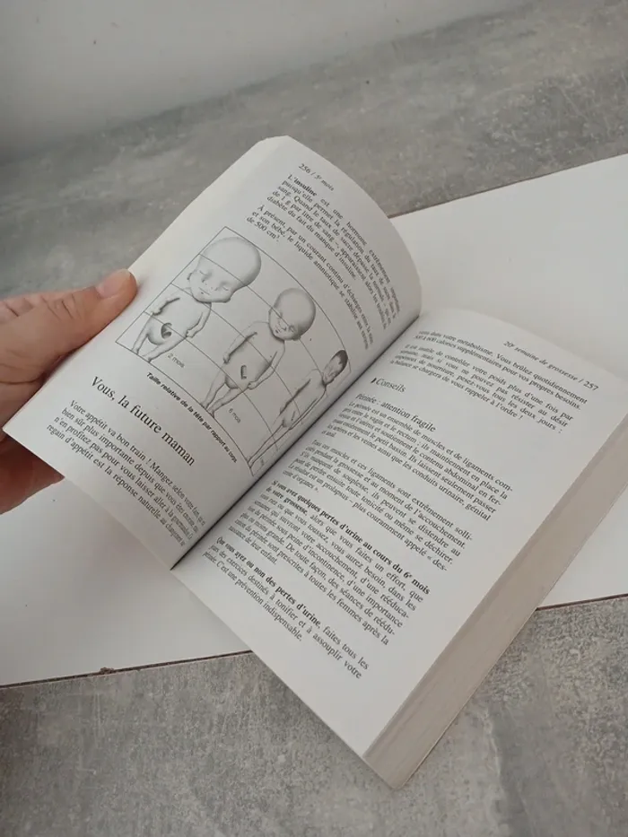 Livre de bord de la future maman - photo numéro 4