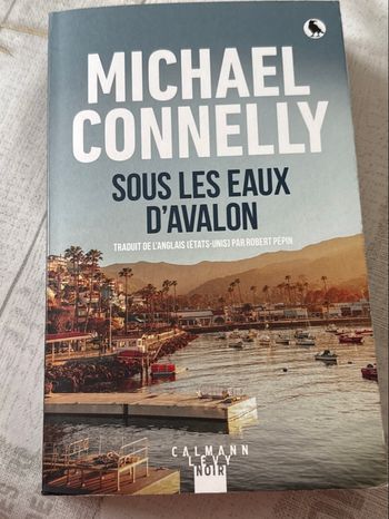 Sous les eaux d’Avallon