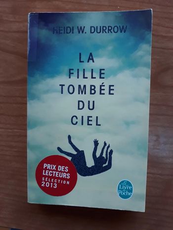 Roman Heidi W.Durrow - La Fille Tombée du Ciel