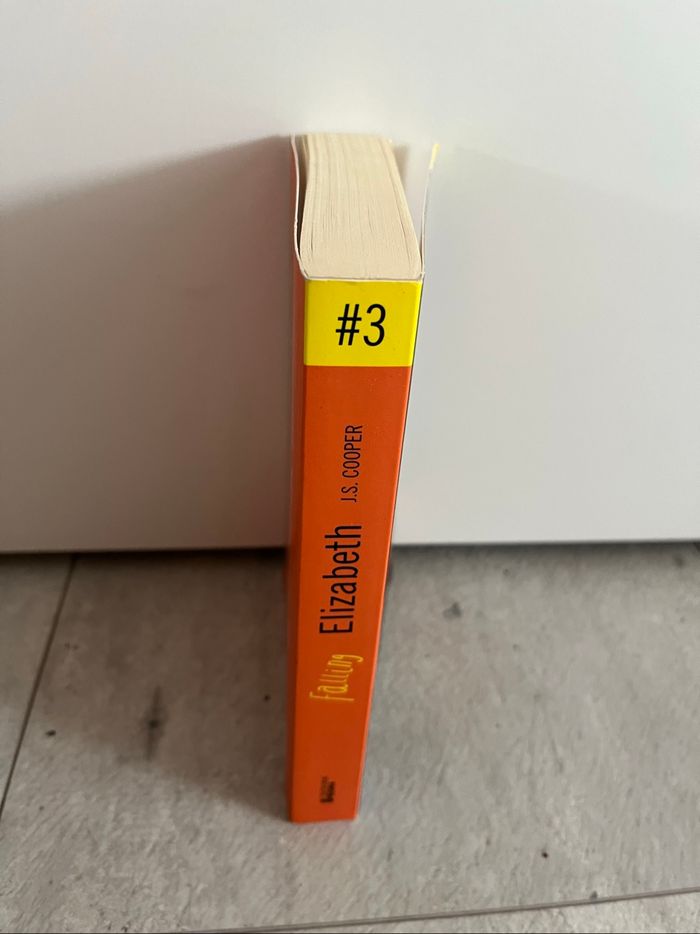 Falling tome 3 de J S Cooper - photo numéro 3