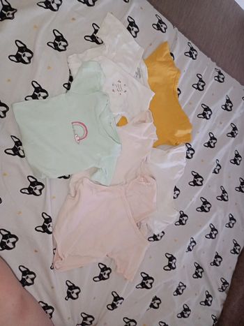Lot de dodies
