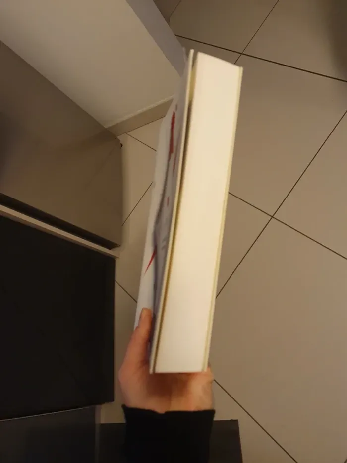 La vie secrète des écrivains Musso - photo numéro 4