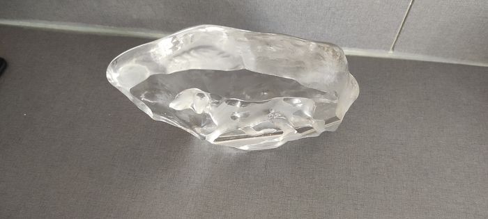 Chiens crystal d'Arques - photo numéro 2