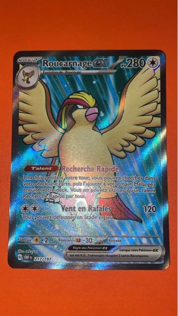 Roucarnage ex 217/197