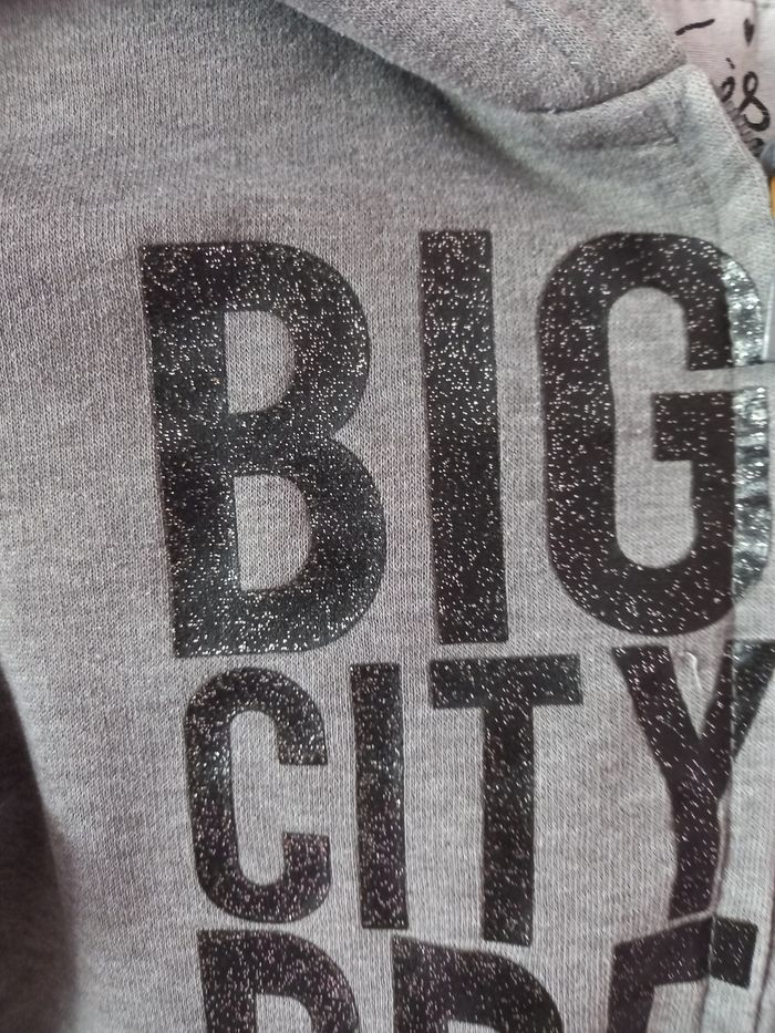 Gilet gris - photo numéro 4