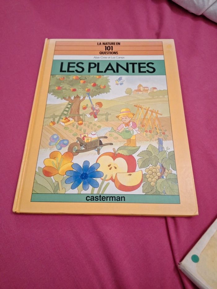Les plantes