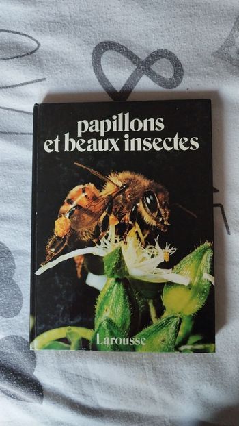 Livre : papillons et beaux insectes 