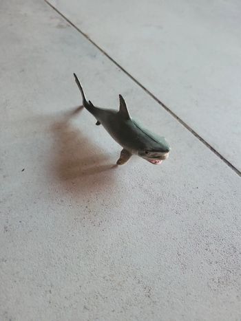 Jouet figurine plastique mou requin