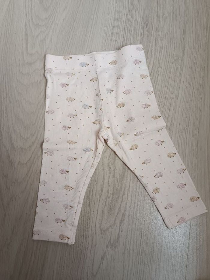 Legging hérisson