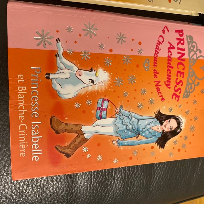 5 livres princesse academy - photo numéro 4