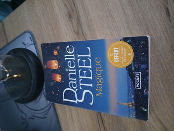 LIVRE MAGIQUE DE DANIELLE STEEL
