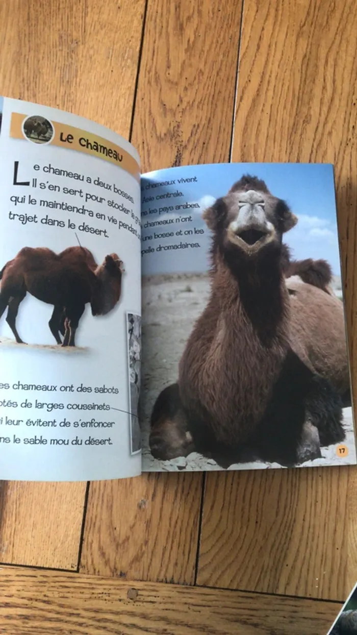 lot de livre sur les animaux - photo numéro 8