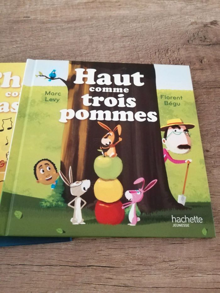 Livres Macdonald "C'est comme ça" - photo numéro 9