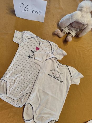 Lot de 2 bodies manches courtes 36 mois