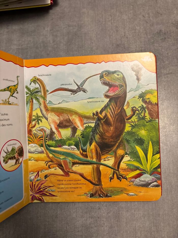 Livre découvrir par les images, les dinosaures - photo numéro 3