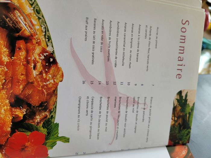 Recettes pour tous les iles - photo numéro 2