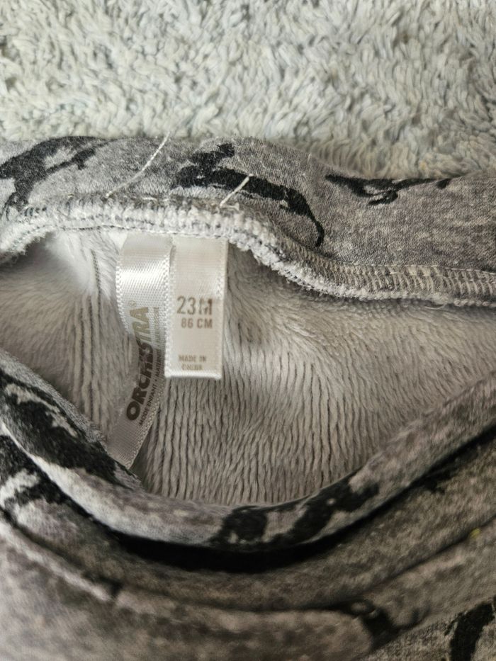 Pantalon dinosaure- 24 mois - photo numéro 2
