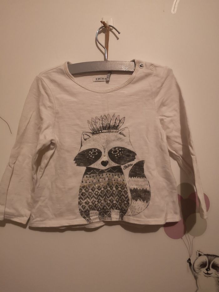 T shirt racoon