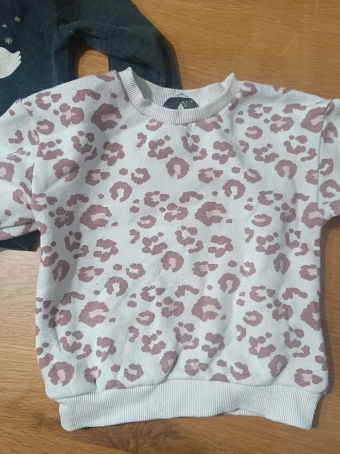 Lot sweat - photo numéro 4