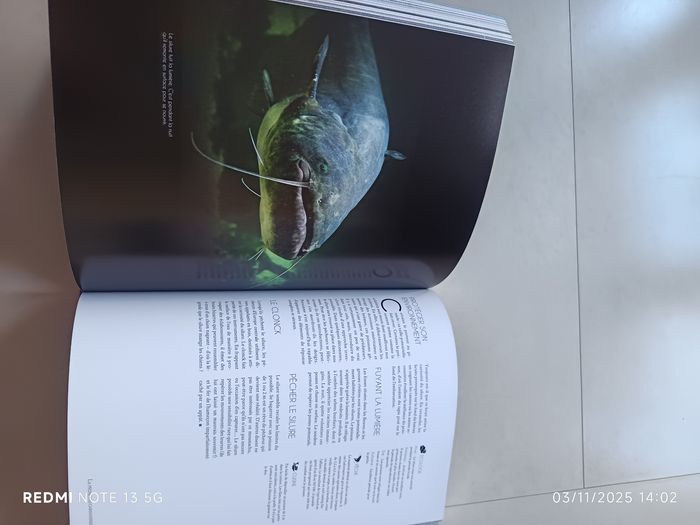 Livre pêche - photo numéro 4