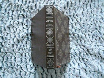 Livre de Dominique Saint-Alban « Noële aux Quatre Vents - Tome 1 »