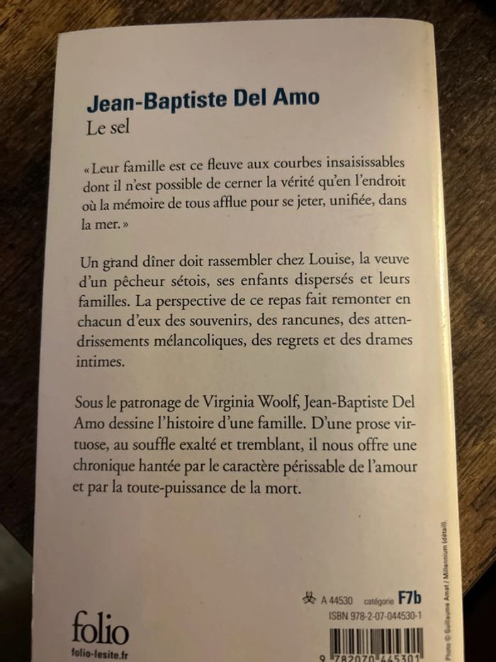 le sel - photo numéro 2