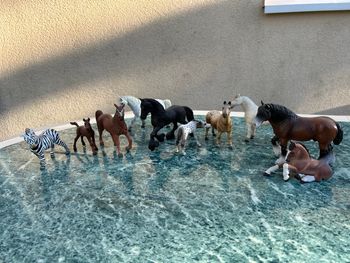 Figurines Schleich