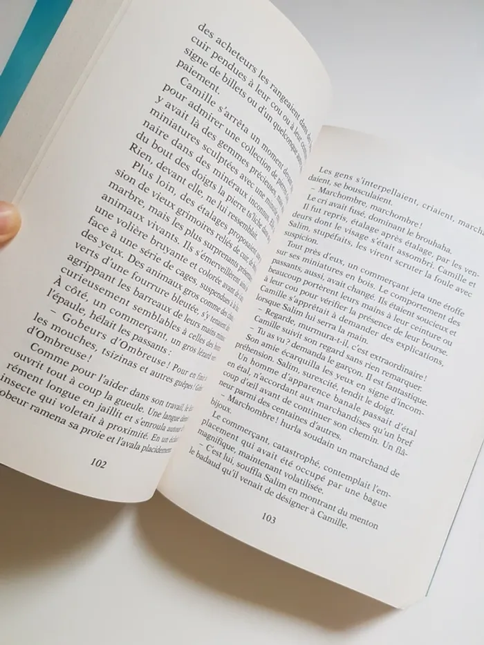 Pierre Bottero (Écrivain)  La Quête d'Ewilan, Tome 1 : D'un monde à l'autre - photo numéro 3