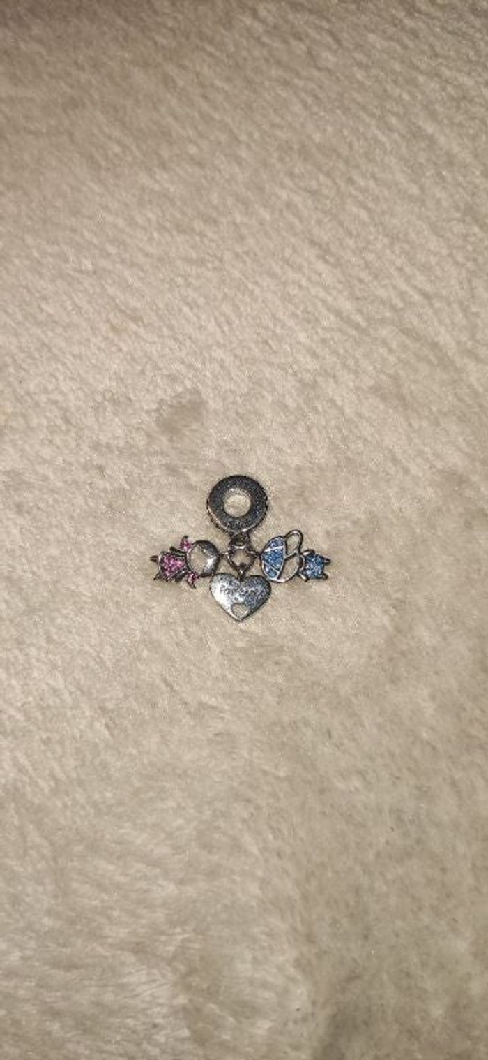 Charm pandora