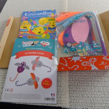 Toucan box Famille Souris