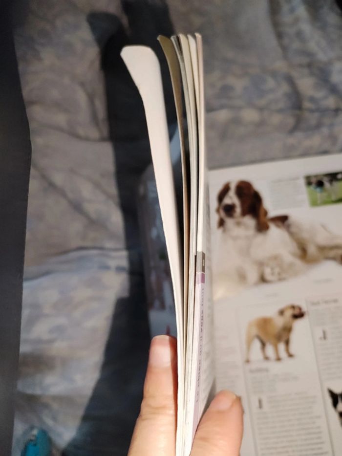 Livre assis ! Couché ! Pas bouger ! - photo numéro 2