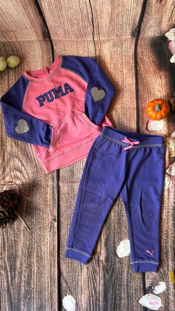 Ensemble puma