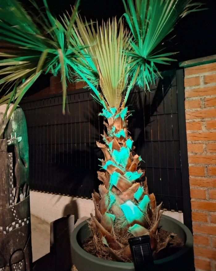 Lumière decorative - photo numéro 10