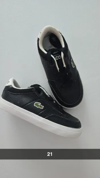 Basket lacoste