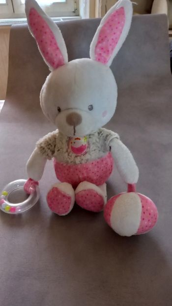 Doudou peluche lapin activités Mots d'enfants