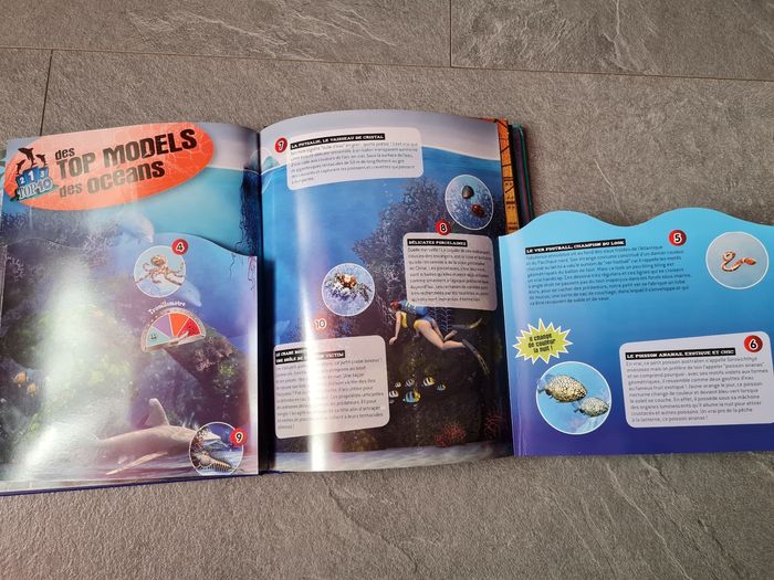Livre créatures de la mer 1 2 3 doc fleurus attention les coins un peu abîmé - photo numéro 9