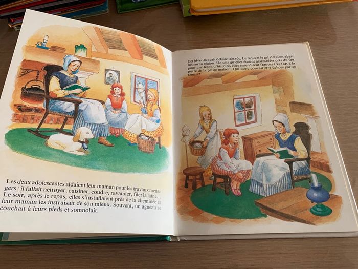 Rose rouge et neige blanche - photo numéro 2