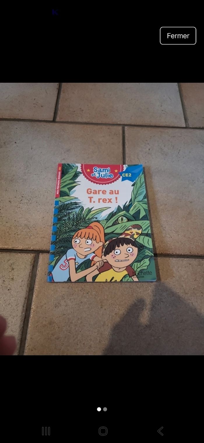 Livre sami et Julie