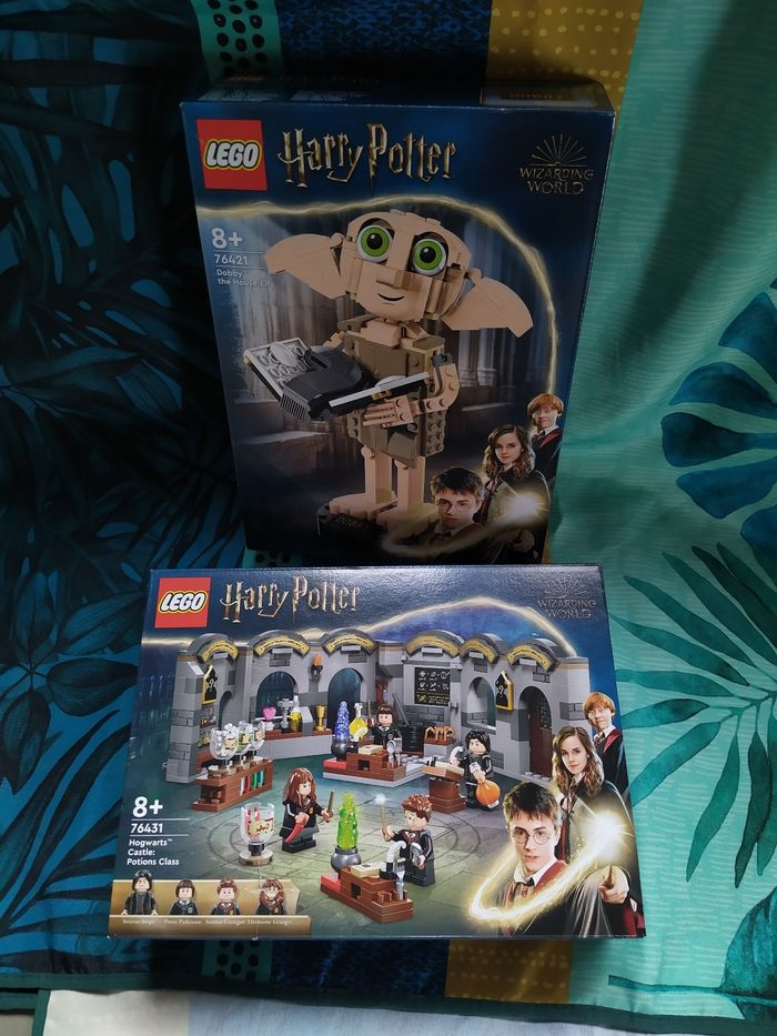 Lego Harry Potter le cours de potions et Dobby
