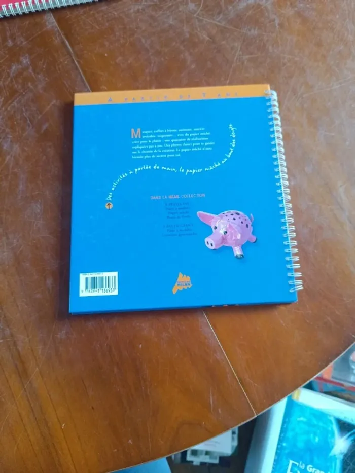 Livre : activités manuelles - photo numéro 3