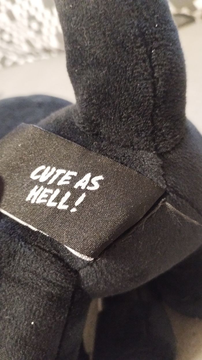 Chat maléfique - photo numéro 6