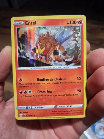 carte Pokemon Entei Holographique 020/163