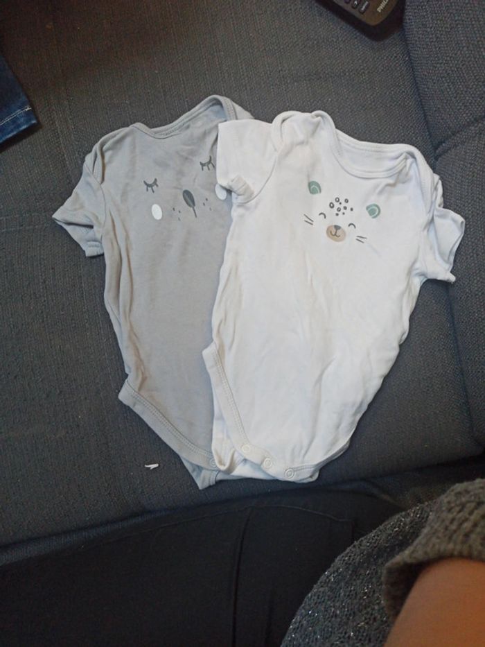 Lot bodies