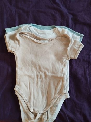 Lot de 3 bodies mc 6 mois