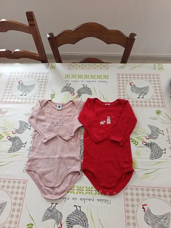 Lot de 2 bodies Petit Bateau 9 mois
