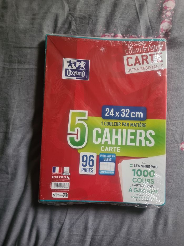 Lot de 5 cahiers 24x32cm 96 pages grands carreaux NEUFS