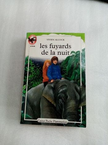Livre enfant les fuyards de la nuit