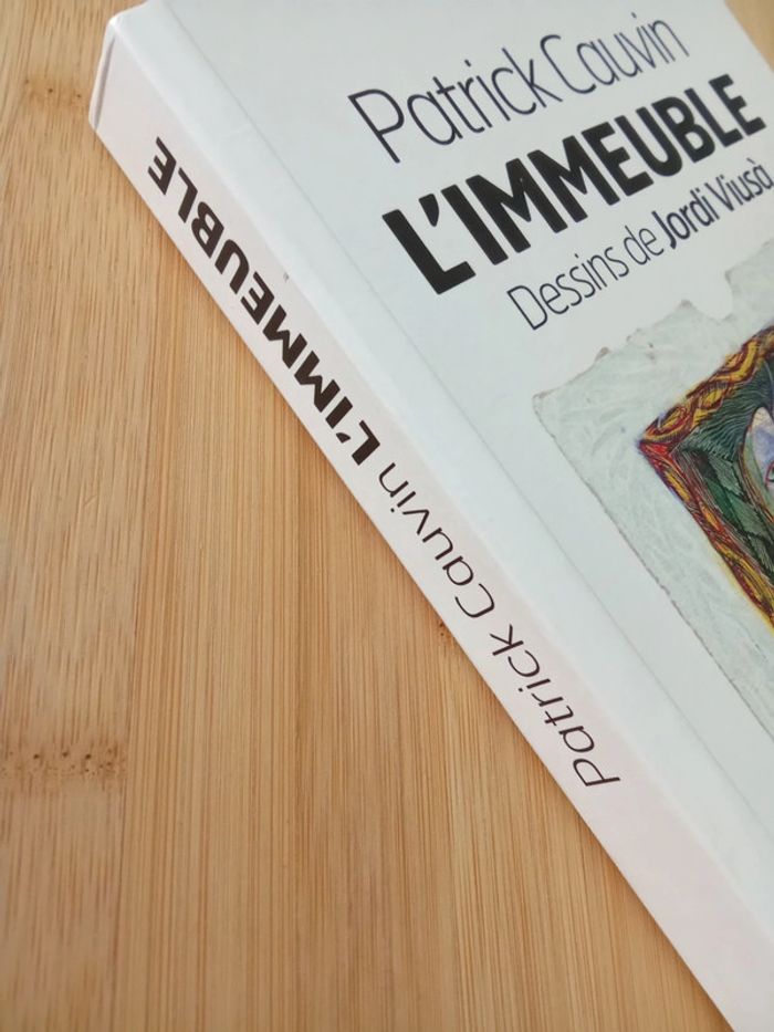 Patrick Cauvin 🫧 L'immeuble - photo numéro 3