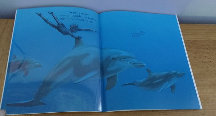 Cache cache avec Le dauphin - photo numéro 4
