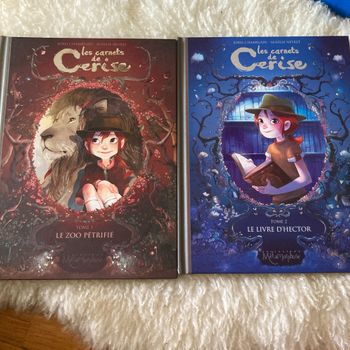 BD les carnets de Cerise